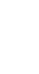 Lemur